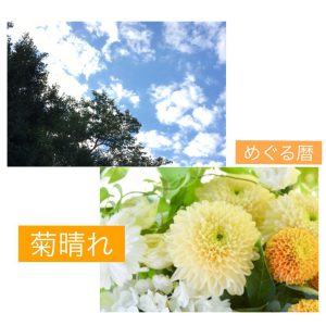 月めぐり漢方_菊花20161011