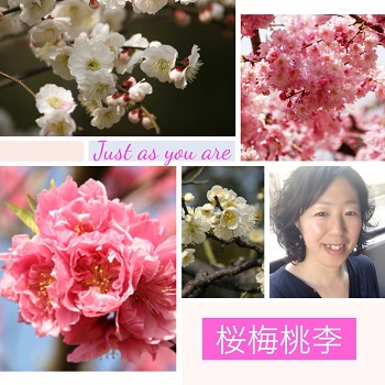 月めぐり漢方 小さな幸せ 桜桃梅李