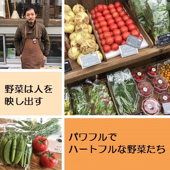 月めぐり漢方_青果ミコト屋