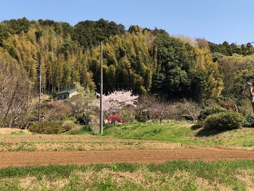 月めぐり_漢方ツアー_里山_薬草