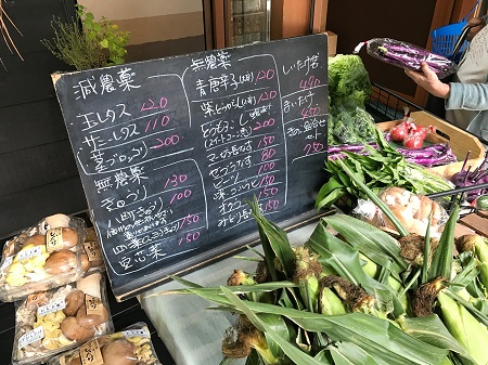 無農薬_野菜_販売書_長野_薬膳ツアー_20180801