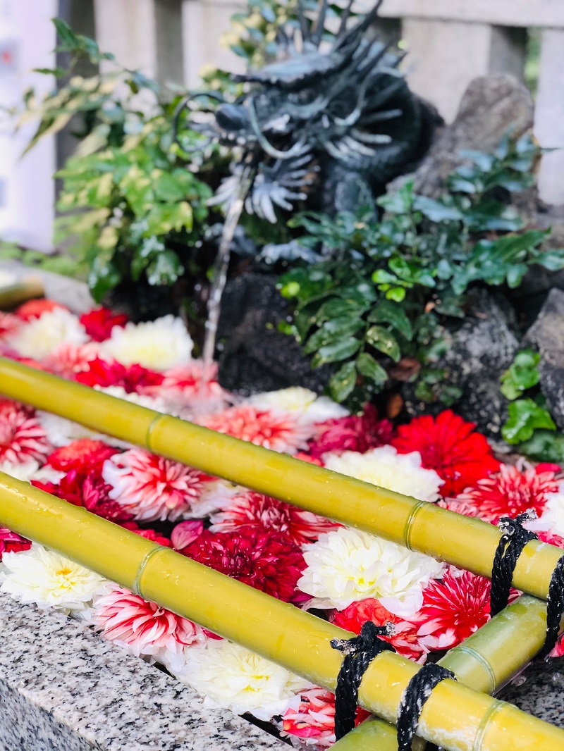 月めぐり_漢方ツアー_神社仏閣_陰陽五行_易経_易占い_体質改善_ネコのお告げ_福徳神社_20191202