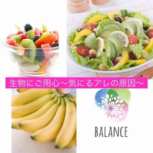 月めぐり_漢方_薬膳_おりもの_子宮筋腫_怠い_吐き気_むくみ_食べ物_20200623