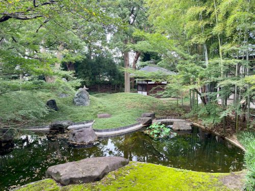 蓮の花_瞑想_自由が丘_横浜_月めぐり_呼吸瞑想_神社仏閣_20073003