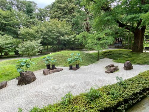 蓮の花_瞑想_自由が丘_横浜_月めぐり_呼吸瞑想_20073002