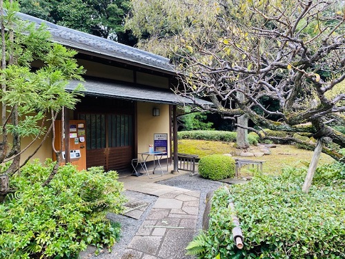 月めぐり漢方_散歩_心の養生_漢方養生_漢方ライフ_瞑想_新宿御苑_茶道_一期一会_2021001